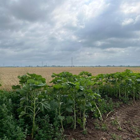 Appartamento Gastenverblijf Stekkenhof Haalderen Esterno foto
