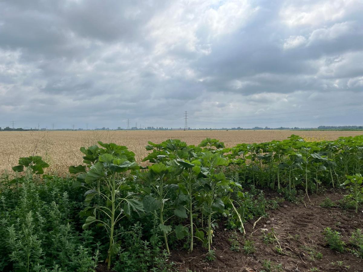 Appartamento Gastenverblijf Stekkenhof Haalderen Esterno foto